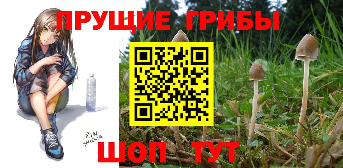 Галлюциногенные грибы Magic Shrooms  Псилоцибиновые грибы Psilocybine cubensis  Канск  дарнет шоп  Вход с VPN 