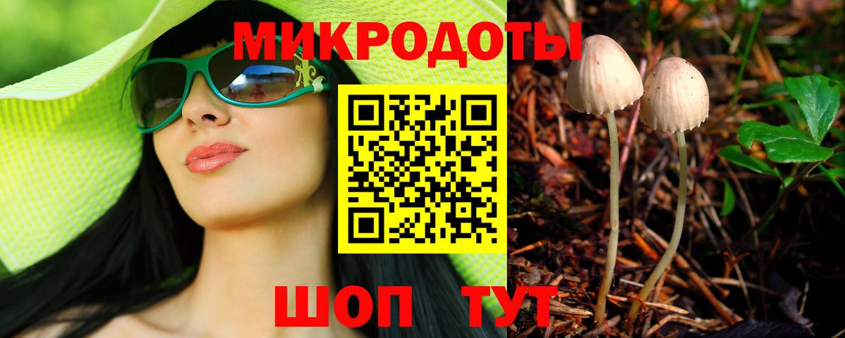 Псилоцибиновые грибы Psilocybe Канск